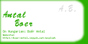 antal boer business card